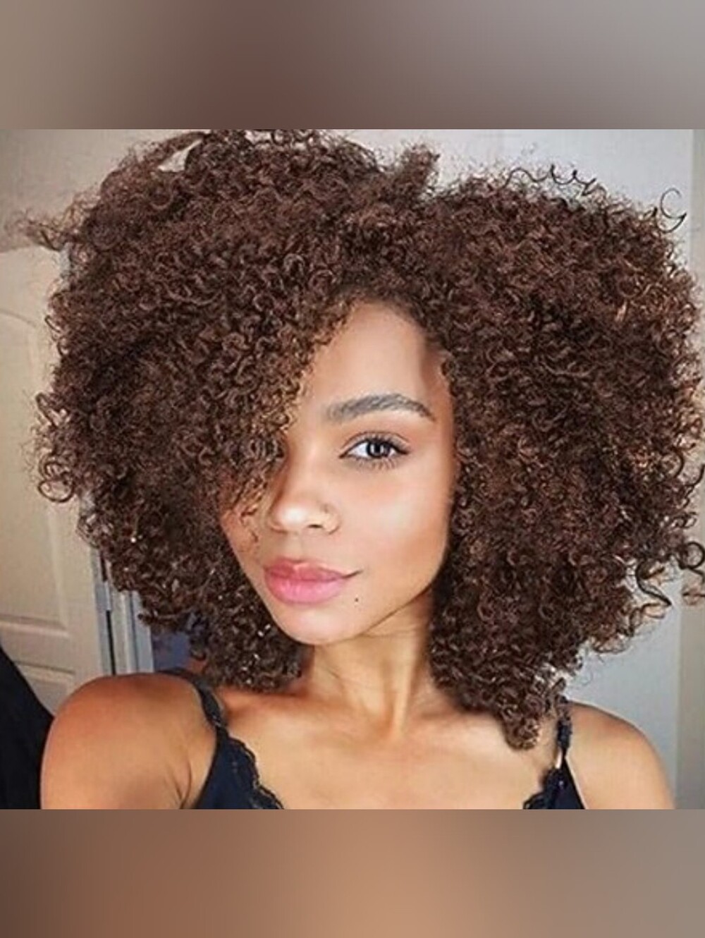 Natural Brown Curly Afro Wig
